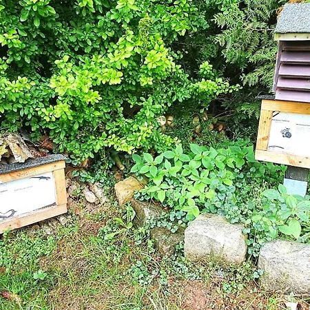 Talblick 1 - Ihr Mitten Im Idyllischen Tal *