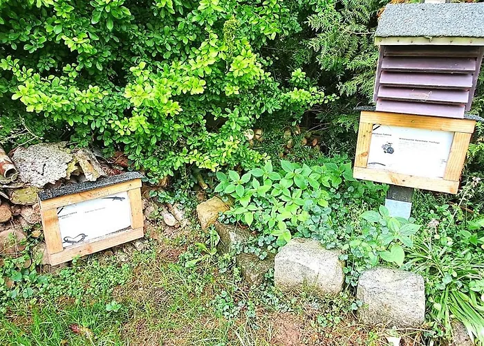 Talblick 1 - Ihr Mitten Im Idyllischen Tal *